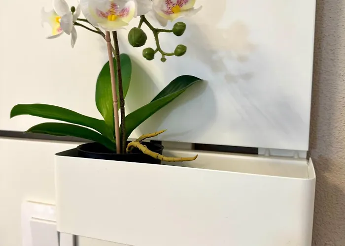 公寓 Casa Morena 科斯塔德安提瓜